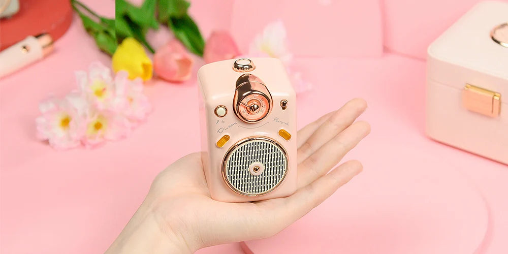 Divoom Fairy-OK Retro Mini Karaoke Speaker with Microphone Karaoke Function with Voice Change, FM Radio, TF Card