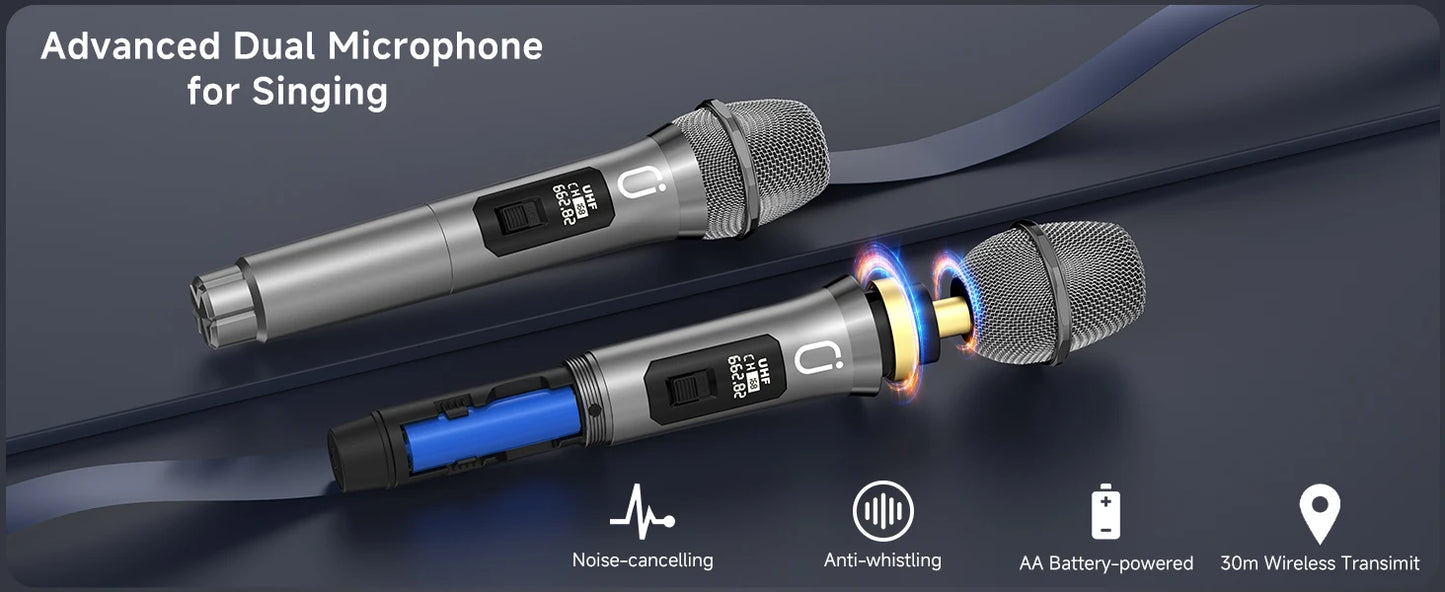 FanFun Karaoke Machine with 2 Microphone, Bluetooth Karaoke Speaker with LED Light, Home Karaoke System Set, TX05