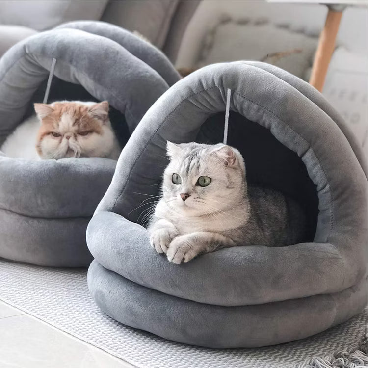 Cat Beds